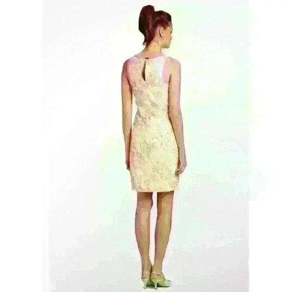 Lilly Pulitzer Percy Floral Sunbonnet Flower Eyelet Lace Shift Dress Size 4 - Picture 4 of 13